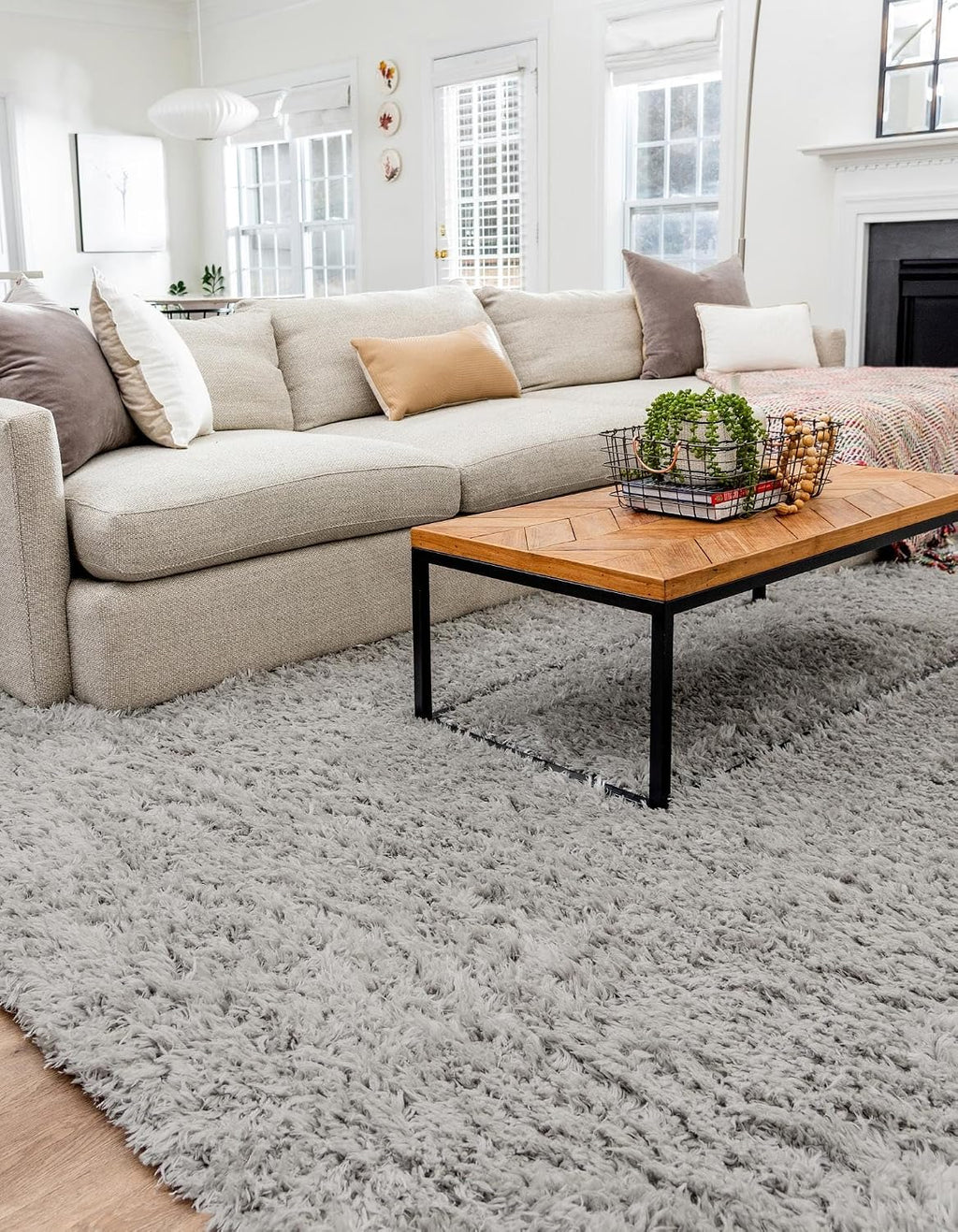 Gray Plush Stain Resistant Easy Clean Shag Rug