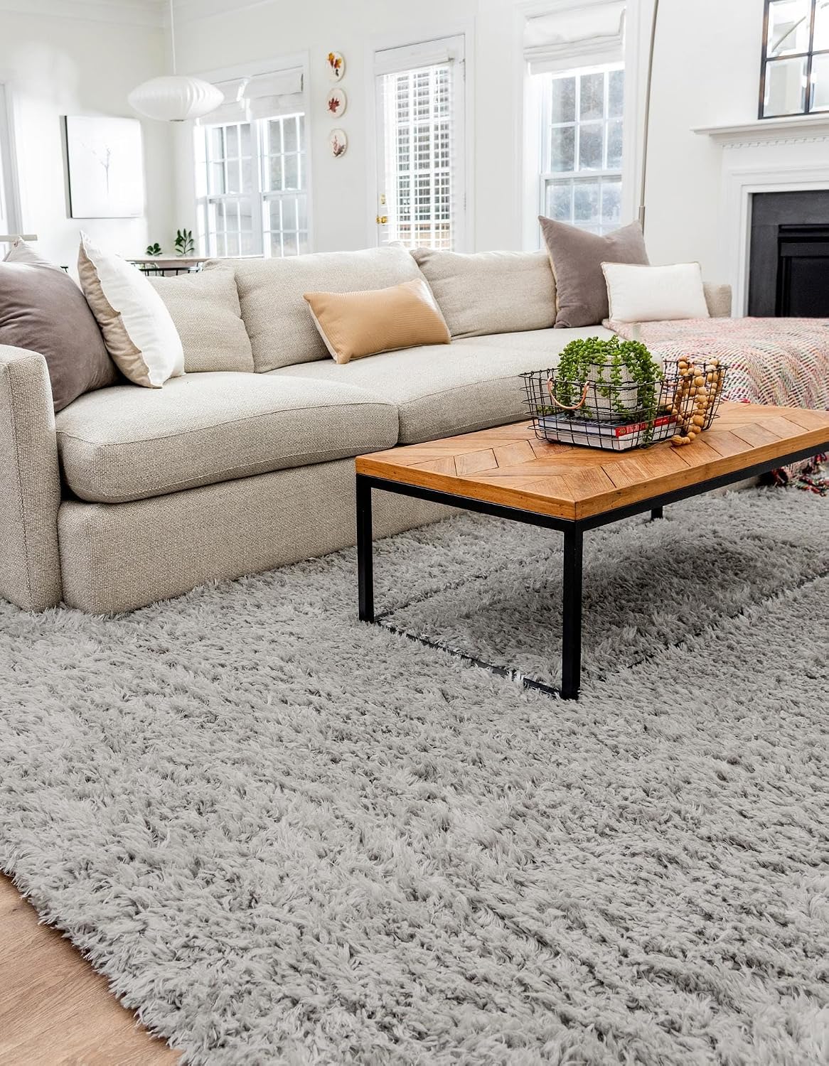 Gray Plush Stain Resistant Easy Clean Shag Rug